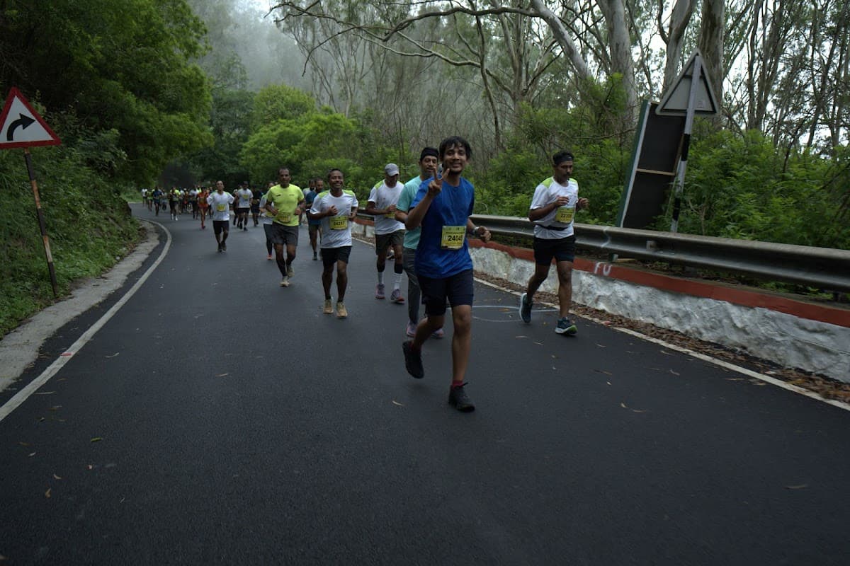 Runners on misty tree-lined road