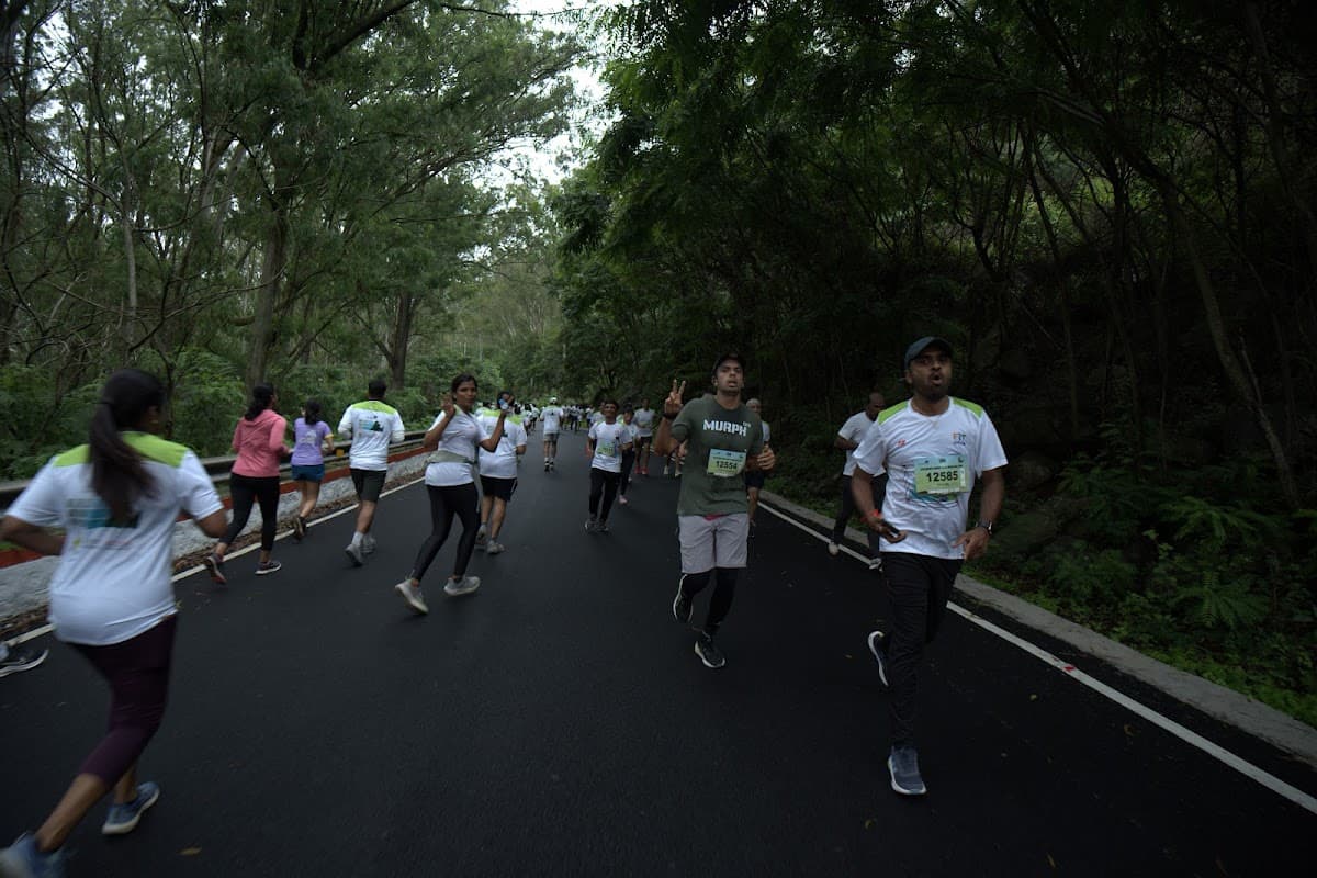 Runners on the lush hill road